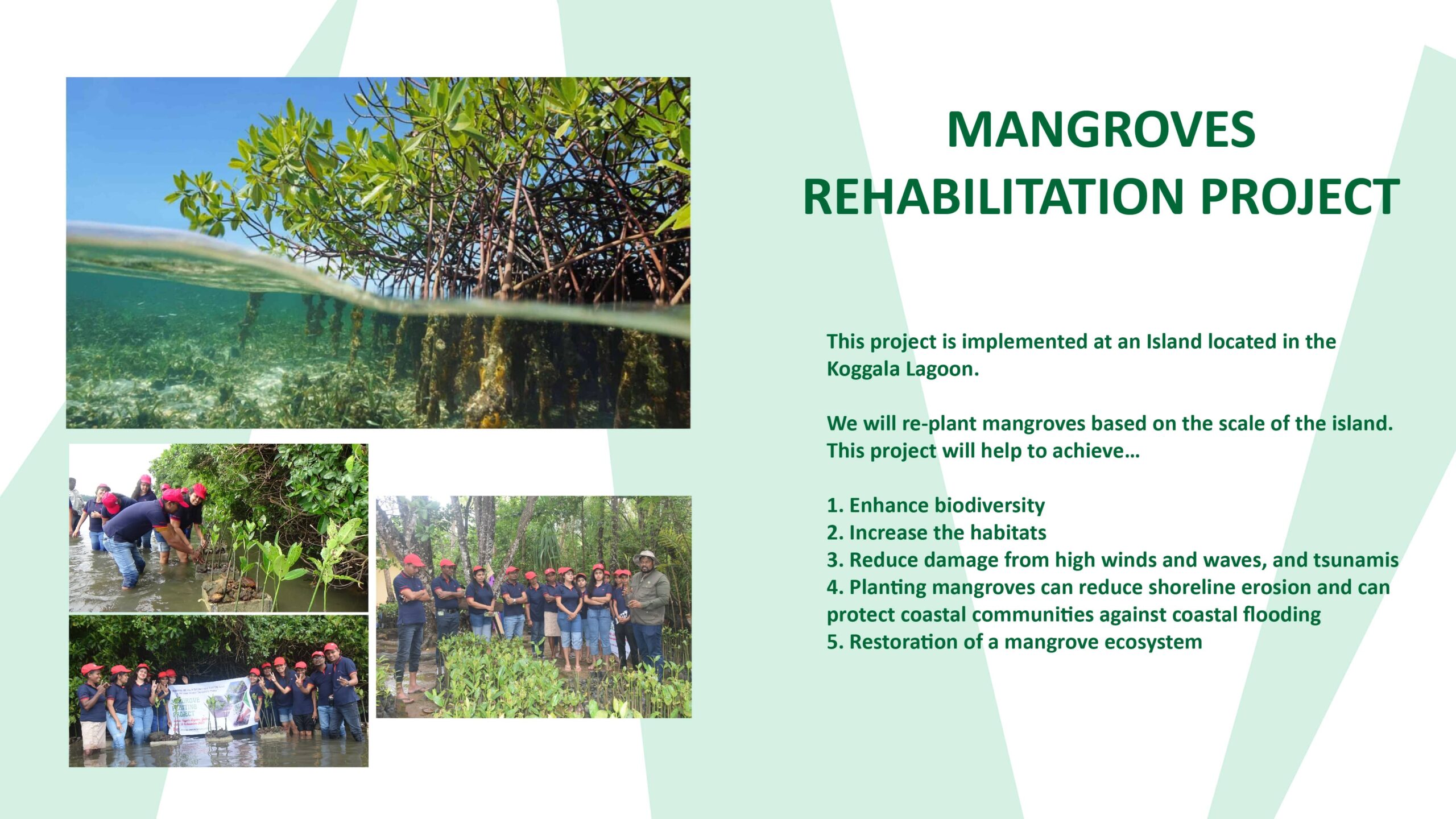 Mangroves Rehabilitation Project